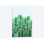 «Kaktos», impression sur toile-74636717-74636687-21716870