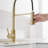 Kitchen Faucet with Pull Down Sprayer-113714567