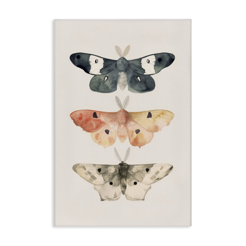 «Watercolor Moth Trio», art mural sur toile par Petal Prints Design, H 36 po x l 24 po