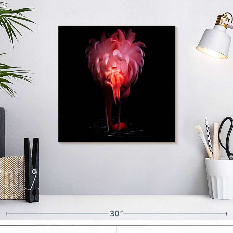 Queue de flamant rose Brampt, H 16 po x l 16 po