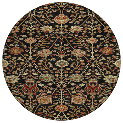Chayil Area Rug with Non-Slip Backing