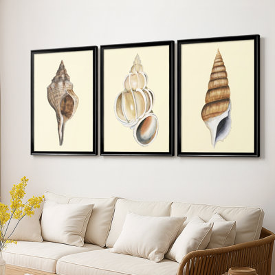 3 coquillages neutres, coquillages sur toile tendue sur mesure, 3 pièces