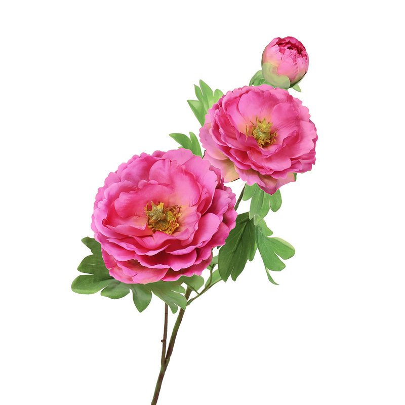 Tiges de pivoines, Fuchsia