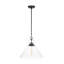 Luminaire suspendu noir à 1 lumière Bronsyn