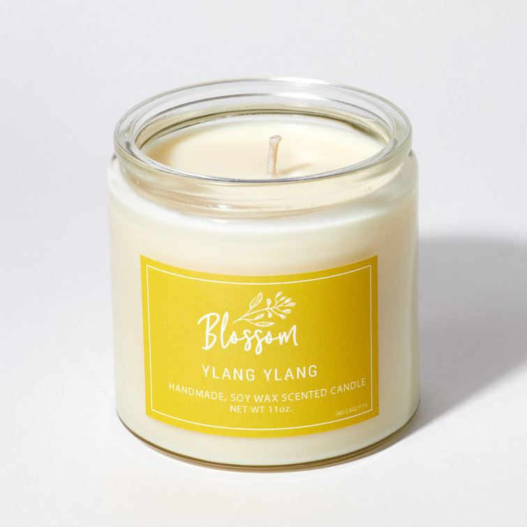 Blossom Artisanal Ylang Ylang Scented Jar Candle - Wayfair Canada