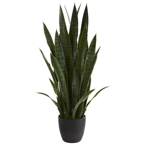 Wayfair | Snake plant Faux Plants You'll Love in 2023