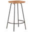 Edeline Counter Stool with Metal Frame