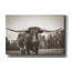 «Longhorn Pastures Sepia» par Nathan Larson, art mural sur toile