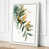 White Border