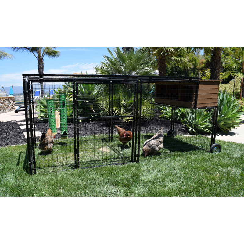 Polk 12.3 Square Feet Chicken Coop with Chicken Run For Up To 4 Chickens