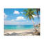 Art tropical sur toile, plage tropicale avec cocotier