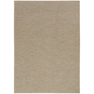 Machine Washable Indoor/Outdoor Area Rug