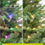 7.5' Pre-Lit Sacramento Fir Artificial Christmas Tree