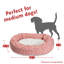Charlie et Sherpa Bagel Donut-35291502-35291499
