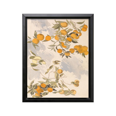 Oranges and Lemons