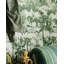 The Derby Wallpaper-834639805