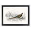 Pheasant Illustration by Charles D' Orbigny - Picture Frame Painting Print-55583020-55583019