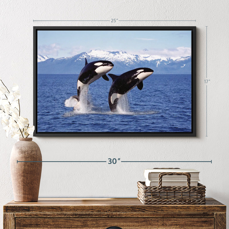 " Jumping Couple Orcas Wall Art ", 17" H x 25" W