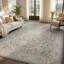 Tapis intérieur / extérieur oriental tissé résistant aux rayons UV gris-1005147070-1006472894