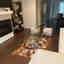 Customer photo 2 of 3