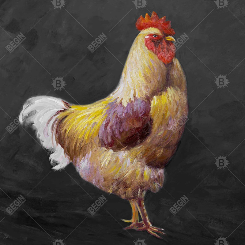 «Beautiful Rooster 2»