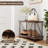 2-Tier Multipurpose Display Rack with Metal Frame
