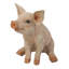 Figurine cochon assis-18361899