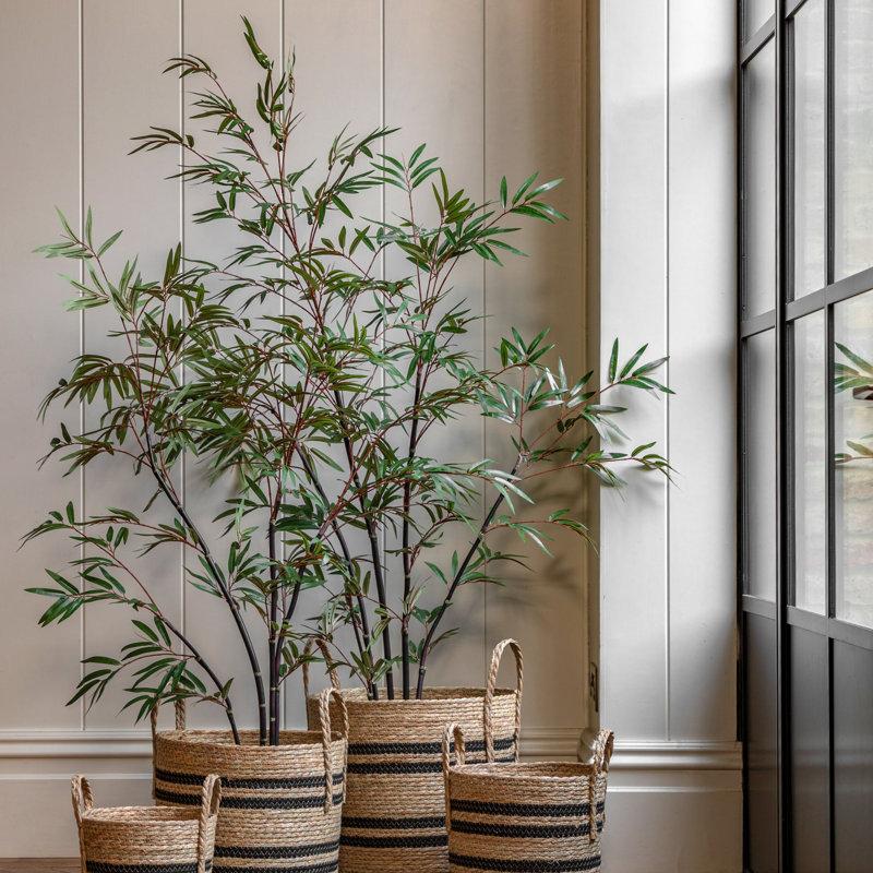 Potted Bamboo Tree 5ft