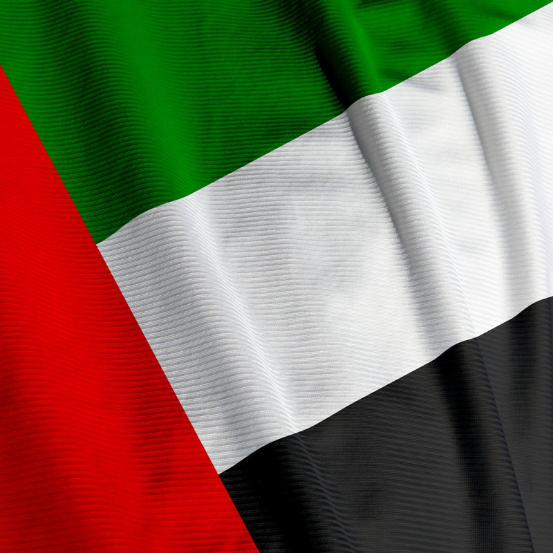 United Arab Emirates Flag Closeup by Mtrommer - Wrapped Canvas Print, 30cm H x 30cm W x 3.8cm D