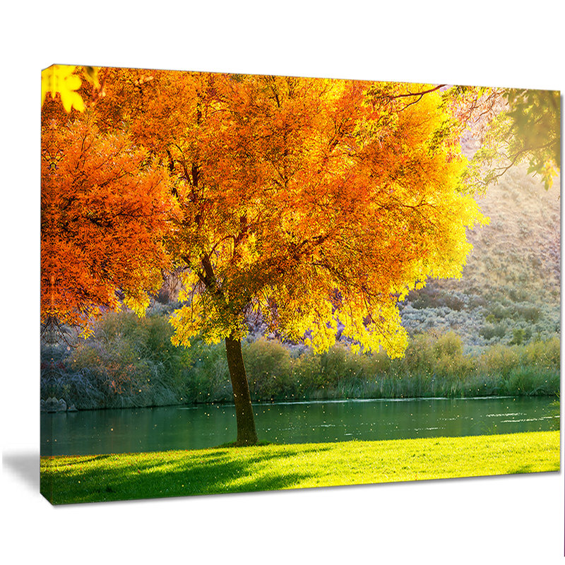 « belle saison d’automne dans la forêt », reproduction de photo sur toile tendue, H 12 po x l 20 po