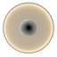 Plastic LED Flush Mount-112201313