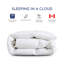 Santa Barbara Heavyweight Down Duvet Insert-1074275030