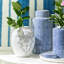 Ensemble de 2 vases bleus et blancs