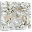 Mésange de printemps Brampt-109203316