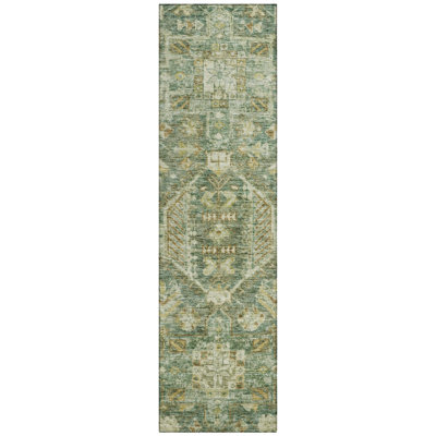 Machine Washable Indoor/Outdoor Jadiel ACN2356 Traditional Rug