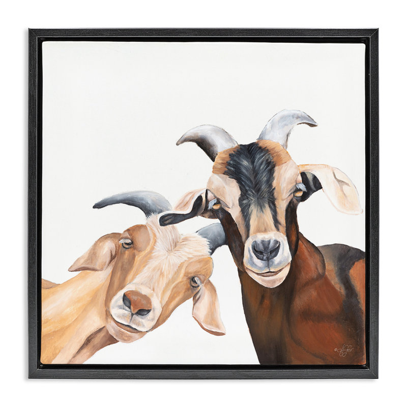 Chèvre heureuse, animaux souriants, H 18 po x l 18 po, Cadre flottant noir de jais