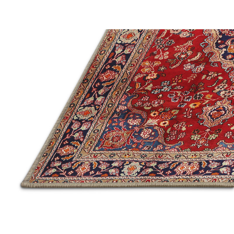 Pitkin Oriental Indoor Rug, Rectangle 8' x 10'