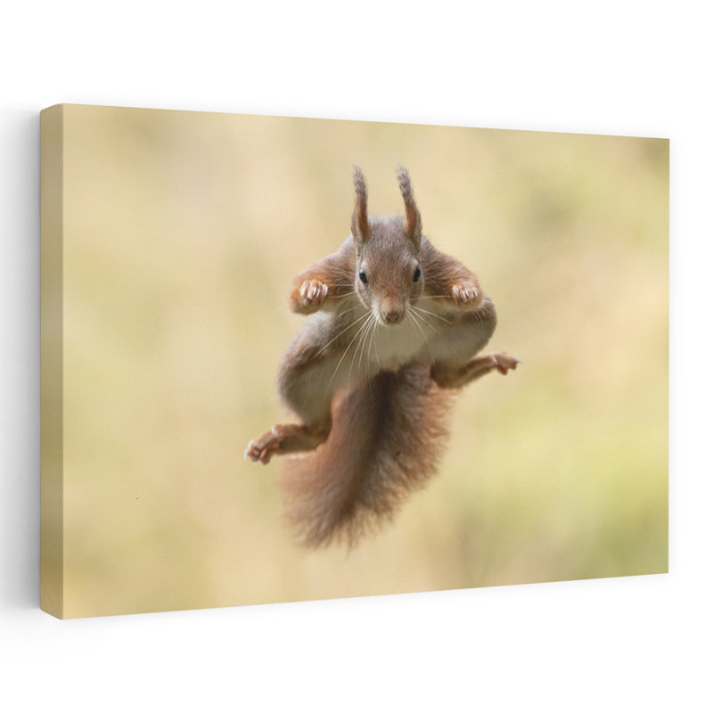 «Red Squirrel Mid-Air Energetic Playful Contemporary Squirrel Forest Nature», reproduction d'art, 32" H x 48" W