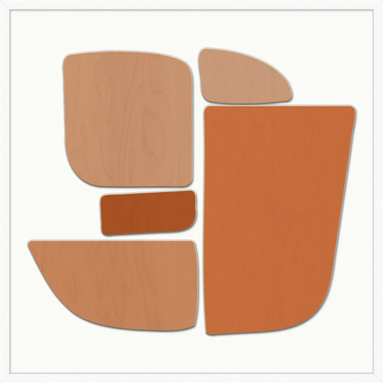 Hidden Wooden Secrets 4 Framed Graphic Art