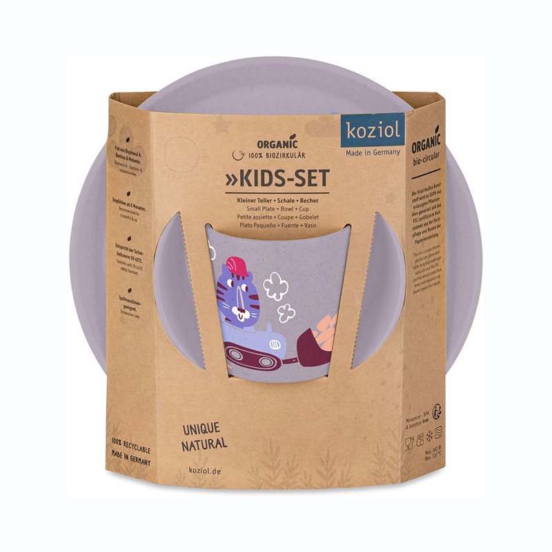 Piece Dinnerware Set
