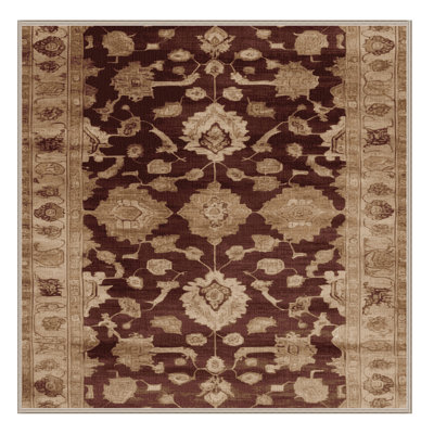 Machine Washable Overdyed Brown Area Rug