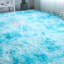 Haimi Indoor / Outdoor Rug