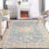 Olivarria Washable Indoor Rug