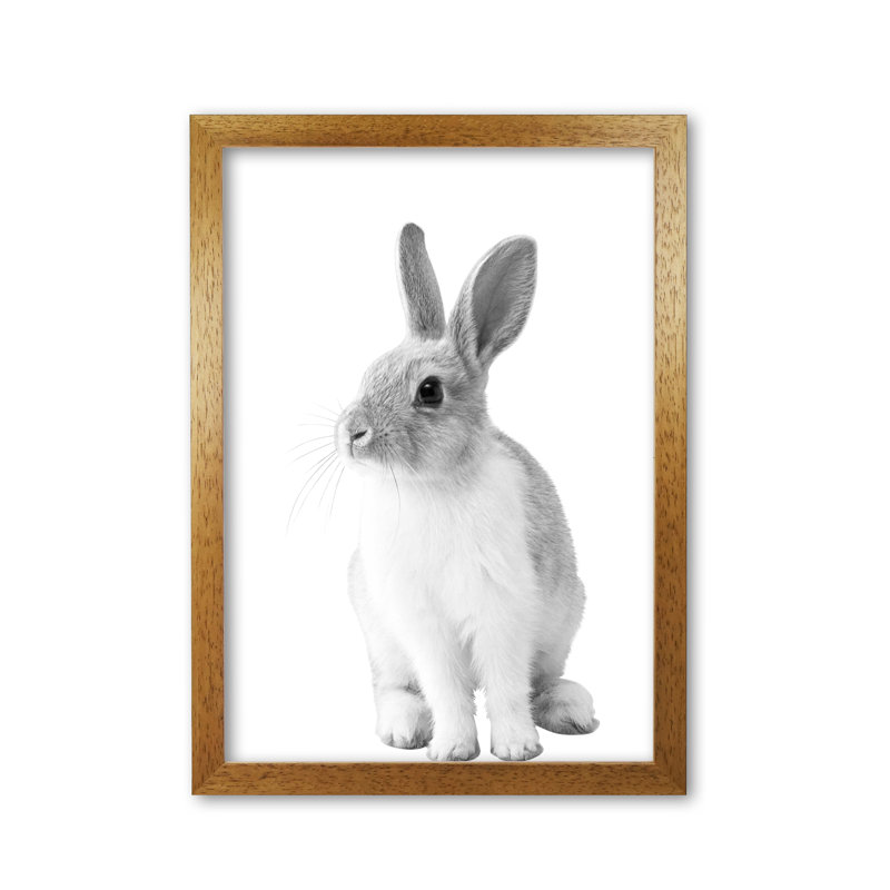 Bunny - Print, Honey Oak Frame, 42 cm H x 30 cm W x 5 cm D