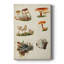 Mushroom Species X - Peinture sur toile tendue-1917683569