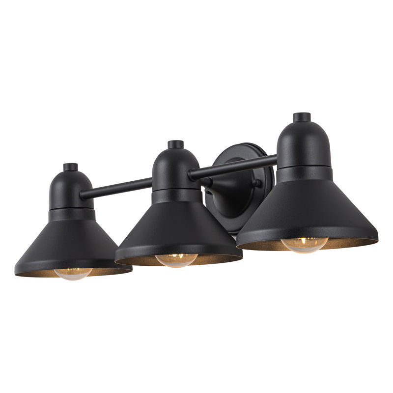 Éclairage pour salle de bain 23,5 po à revêtement en poudre 3 lumières