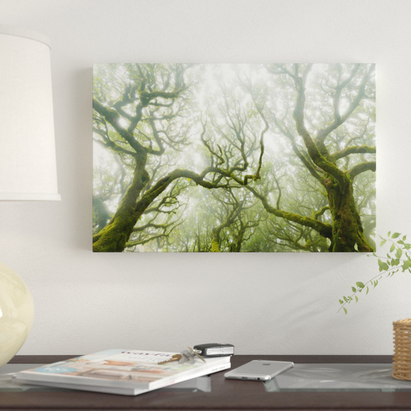 « green fire », reproduction de photo sur toile, H 12 po x l 18 po x P 1,5 po, Toile tendue, Pas de tapis