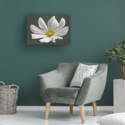 "Cosmos bolognaise", impression sur toile