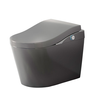 Modern Intelligent Toilet Without Water Tank, With Bidet, Automatic Flushing, Automatic Opening/Closing, Foam Shielding Function, Matte Gray
