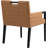 Aimee Vegan Leather Dining Arm Chair-1901019771-1901019749